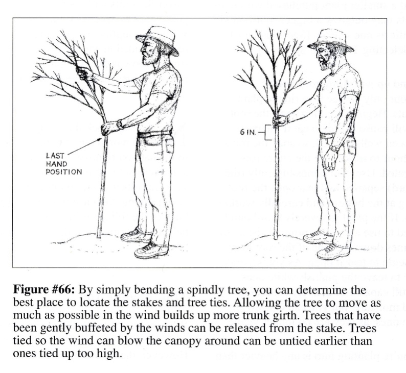 Robert Kourik's Garden Roots
