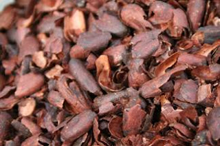 Mutiny In The Garden Working With Cocoa Bean Mulch I Ve Used Cocoa Bean Mulch For Years But Only In The Beds At Front Of House Cost Was Too Much Use Throughout Garden