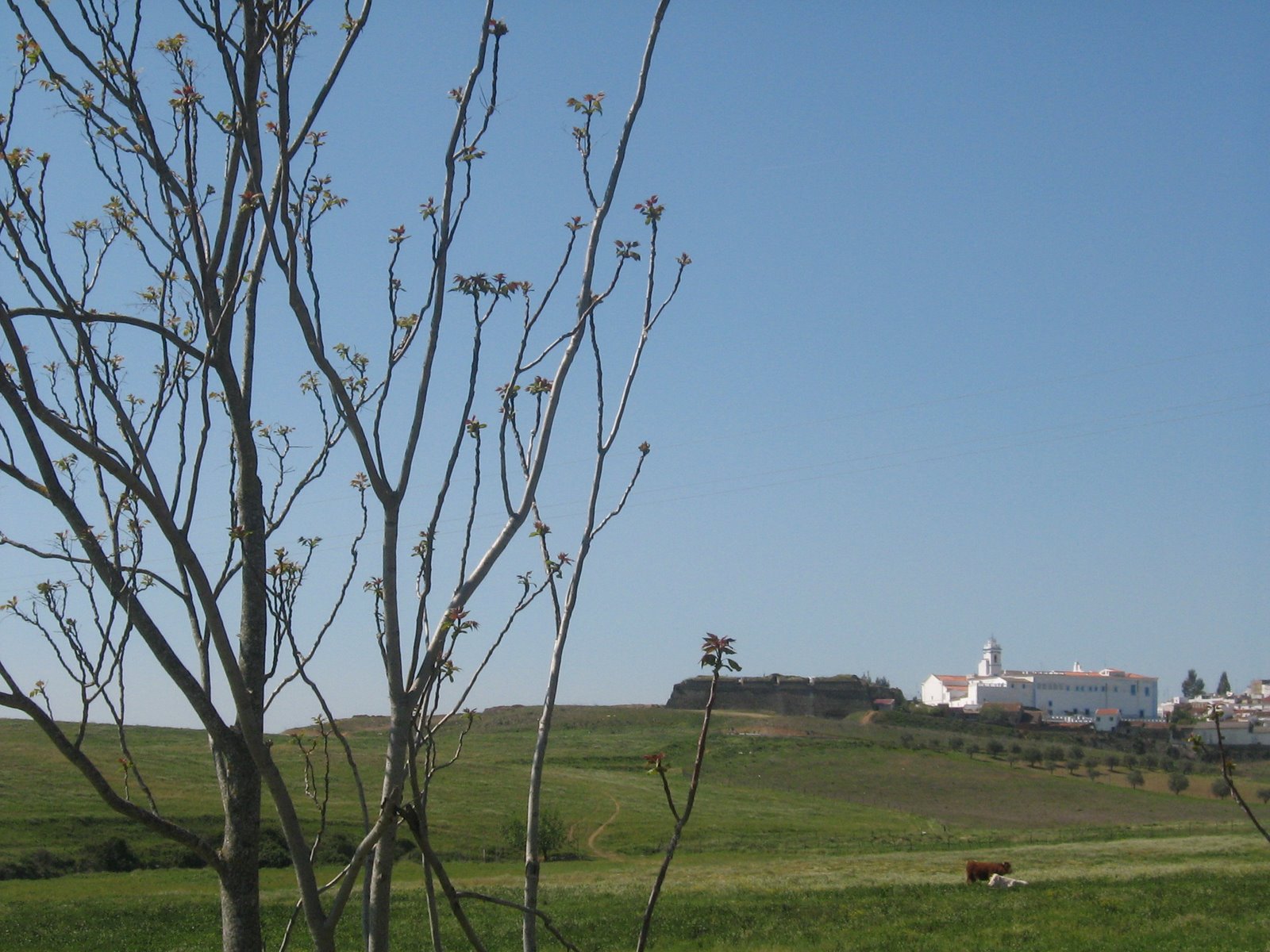 [fotografias+da+máquina+2008+e+2009+087.JPG]