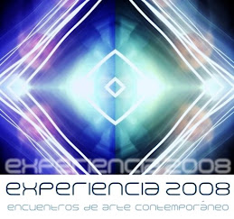 EXPERIENCIA 2008