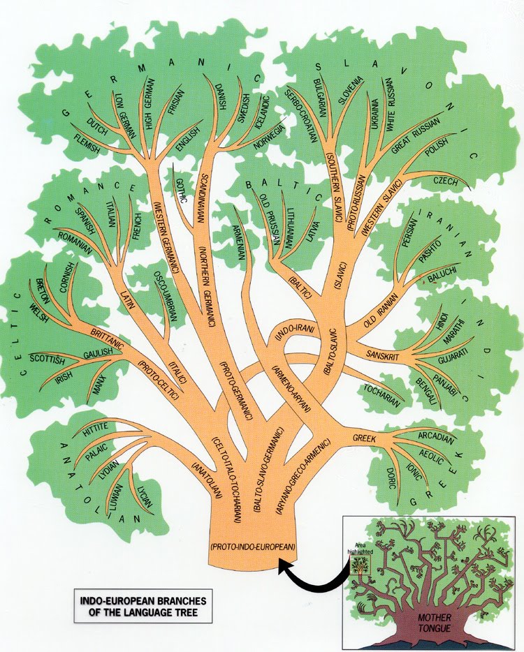 A Walk in the WoRds : An Illustrated Language Tree