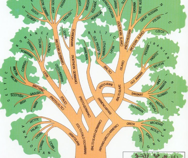 A Walk in the WoRds : An Illustrated Language Tree