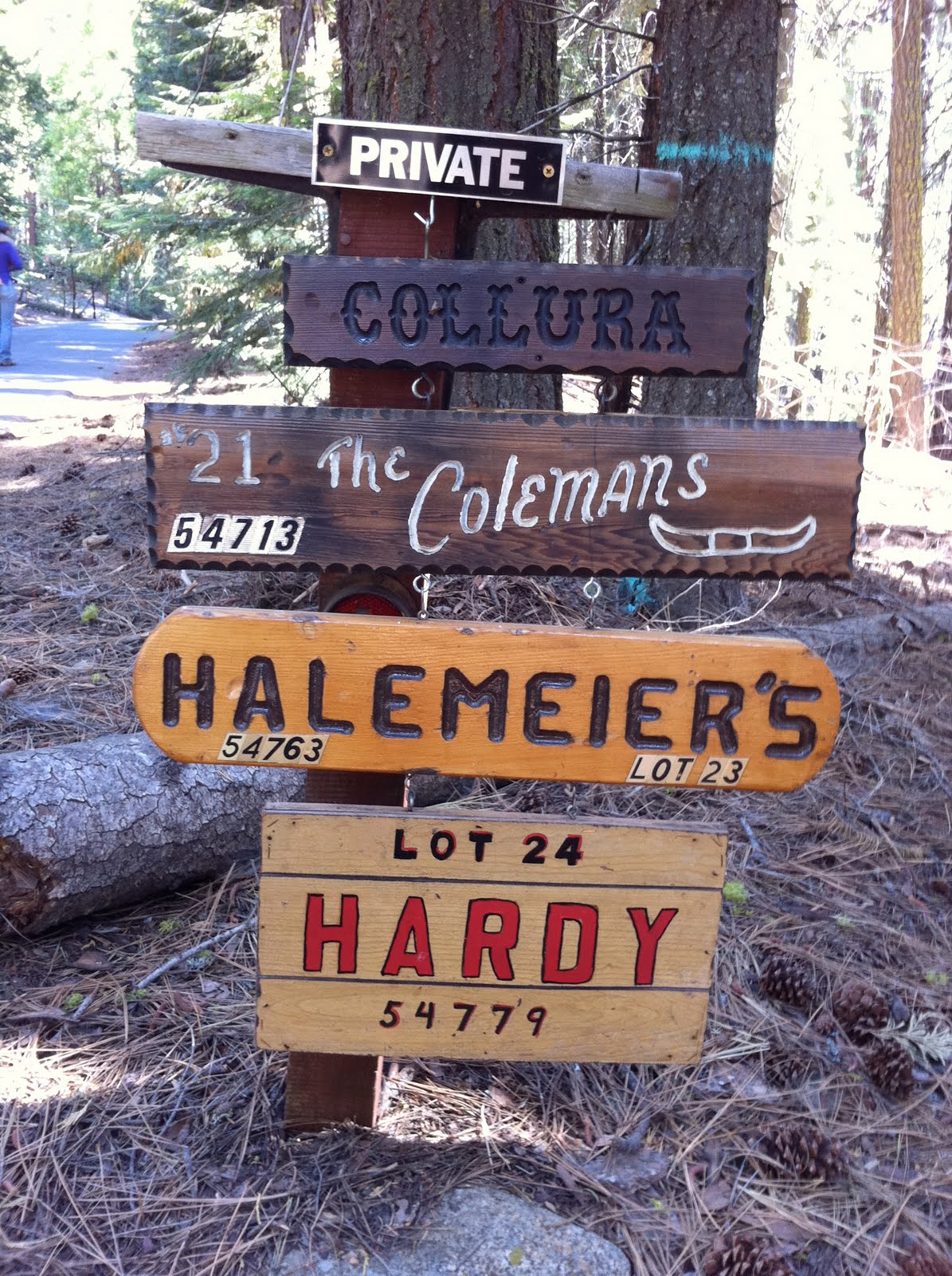 jagoda architecture Dinkey creek cabins