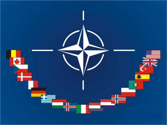 [nato-flags.jpg]