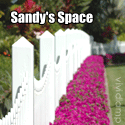 Sandy's Space
