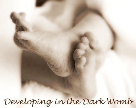 Dark Womb Produtions