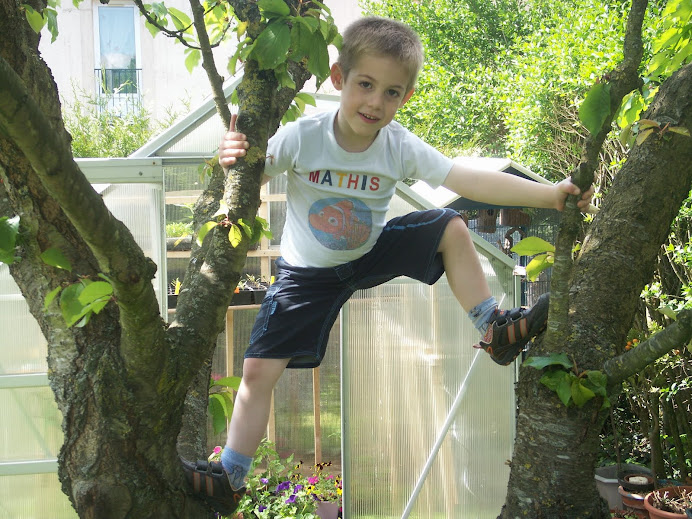 tjrs dans mon  ceriser préferé!!!