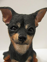 Chihuahua 12/09