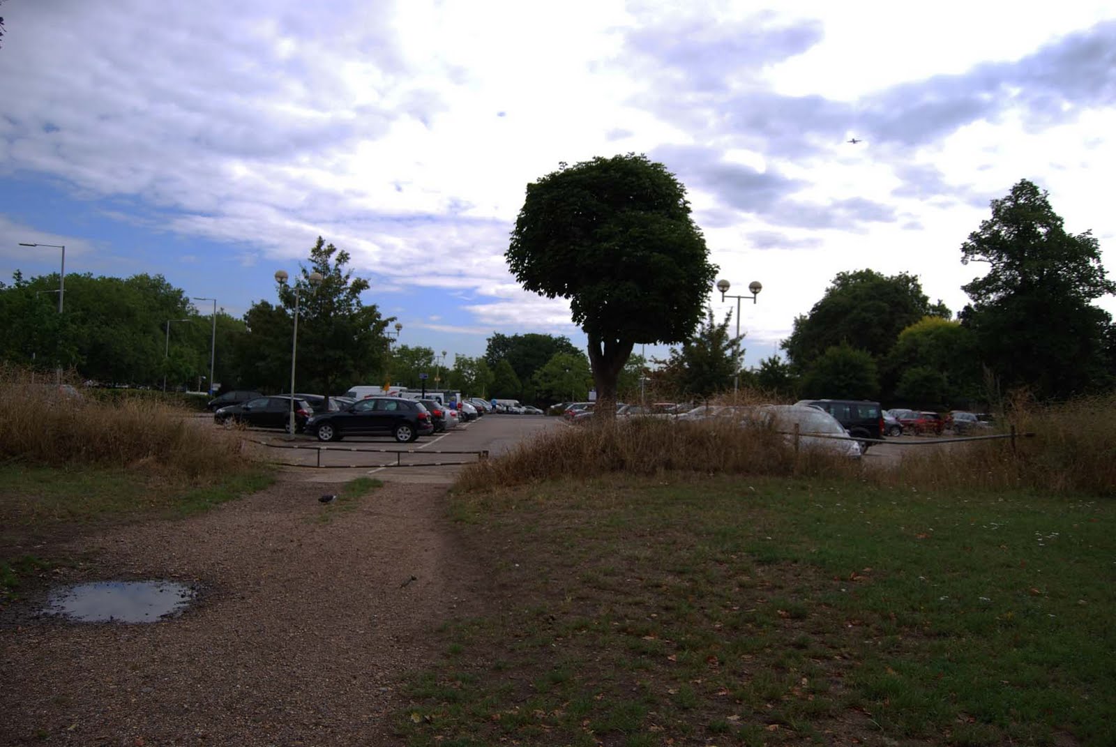 Wren's Nature Notebook A stroll along the River Thames