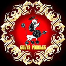 GULYS POODLES