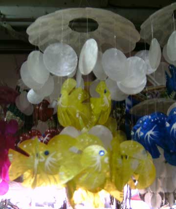 Carbon Handicraft and Shells Craft Products