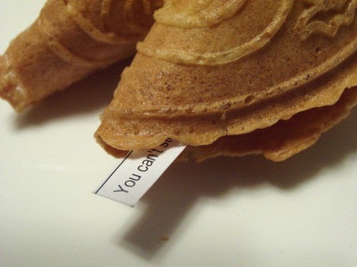 Home Made FORTUNE COOKIES - DASH Mini Pizzelle Maker [Recipe] 