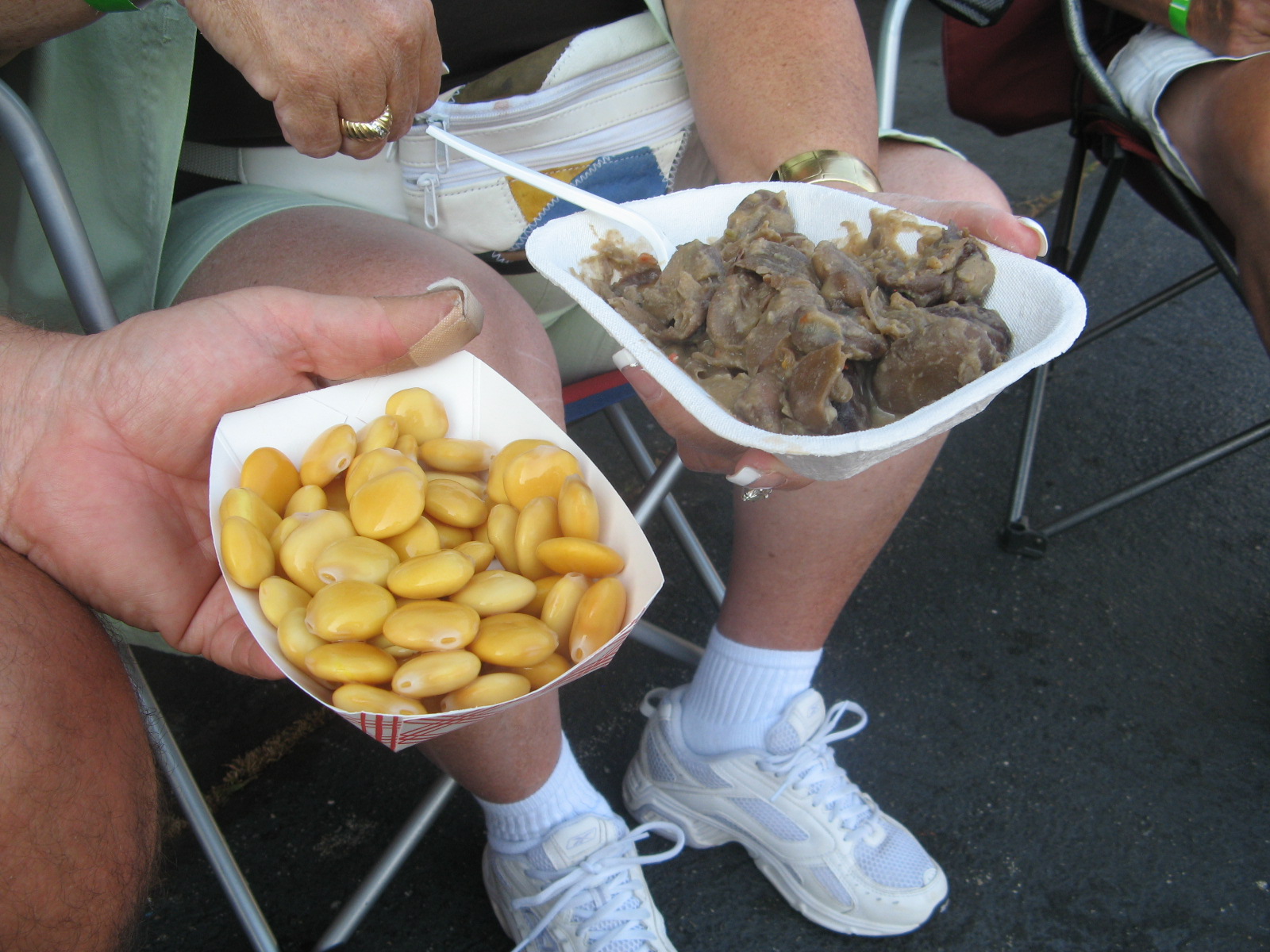 Mary's Ramblin's PORTUGUESE FESTA OF NEW BEDFORD, MA.