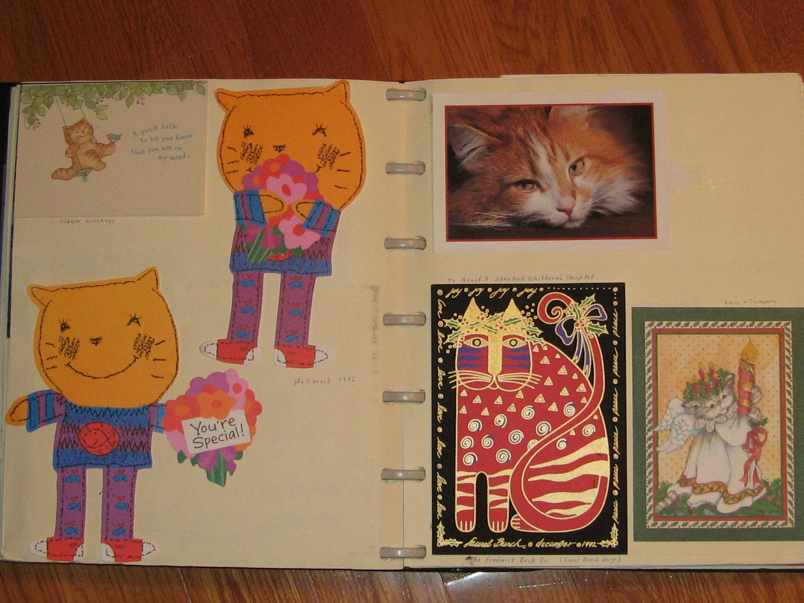 Mary's Ramblin's: E-MAIL AND CHRISTMAS CARDS