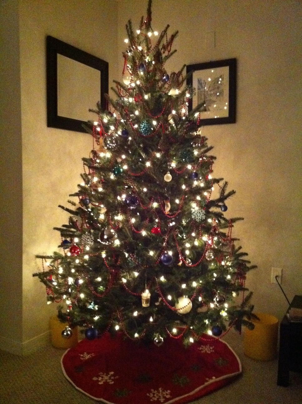Erin's Randomness: My 1st real Christmas tree.....