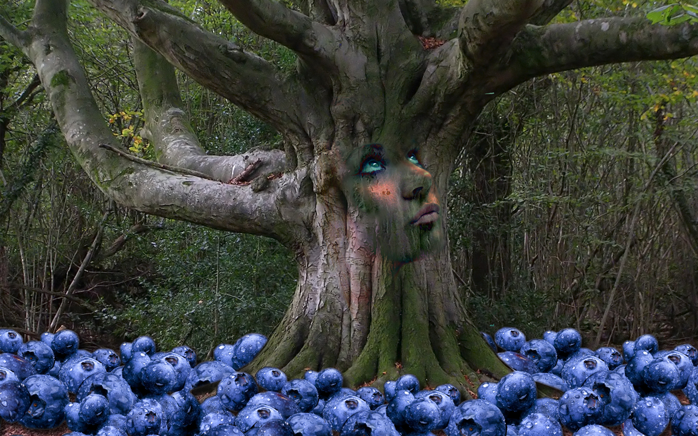 Photoshop assignments for students pdf picture