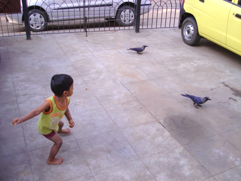 [DSC08170.jpg]