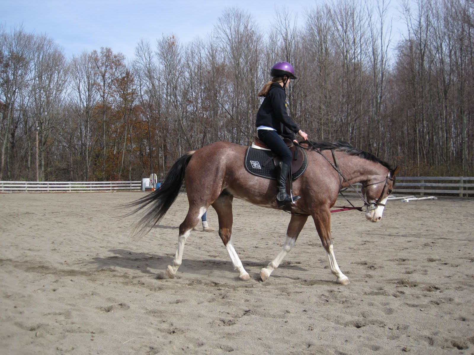 Diary of the Overanxious Horse Owner Dressage is HARD!