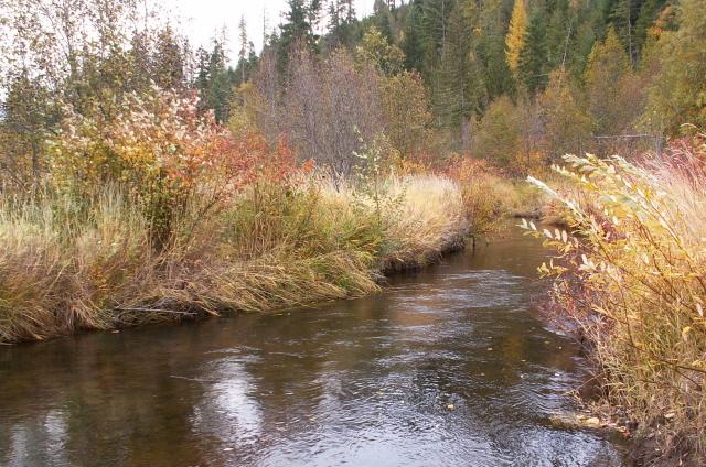[TroutLakeColors070.JPG]