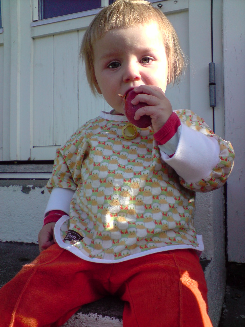 [P290809_09.33[02].JPG]