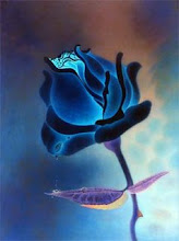 A Blue Rose from Blue's Birthday Party