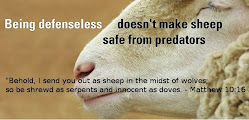 Be Alert! Sheep
