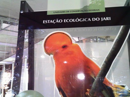 Estação Ecologica do Jari