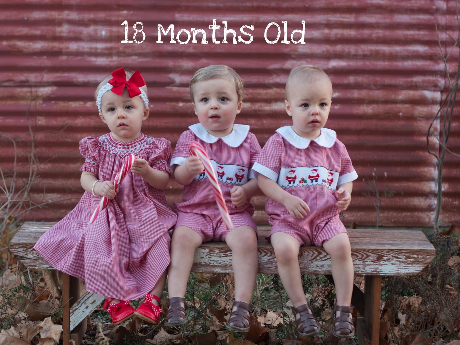 Siemsglusz Triplets 17 & 18 Months Old