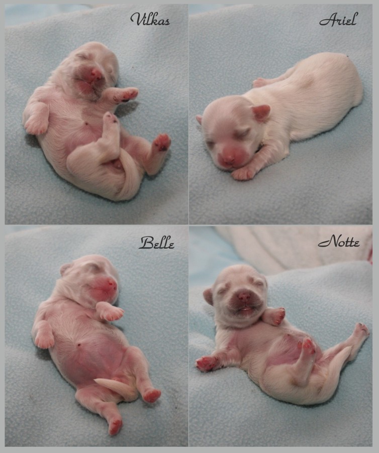 [2009-03-10_m-pentue_2.jpg]