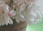 Blossom Sundries Blog