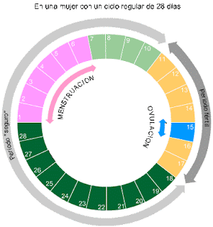 anticonceptivos naturales: Método del Calendario (Método Ogino-Knaus)