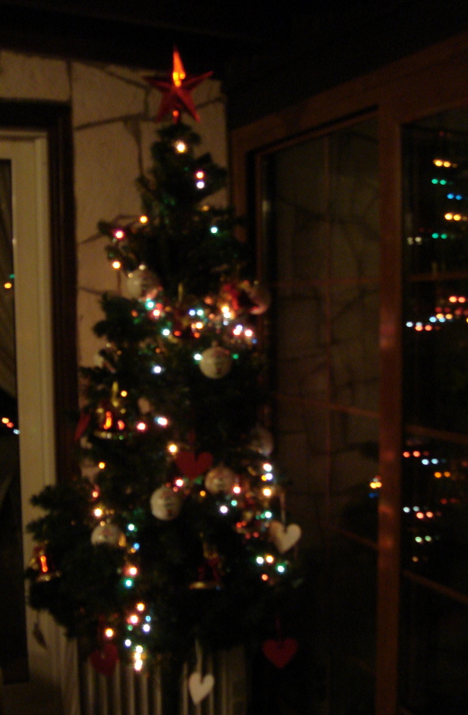 evimi seviyorum..: 11/01/2010 - 12/01/2010