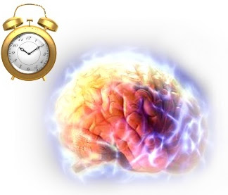 جوان نگهداشتن مغز! - فیزیوتراپیست وحید صادقی