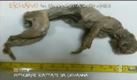 [feto_alieno+da+ruggeri.jpg]