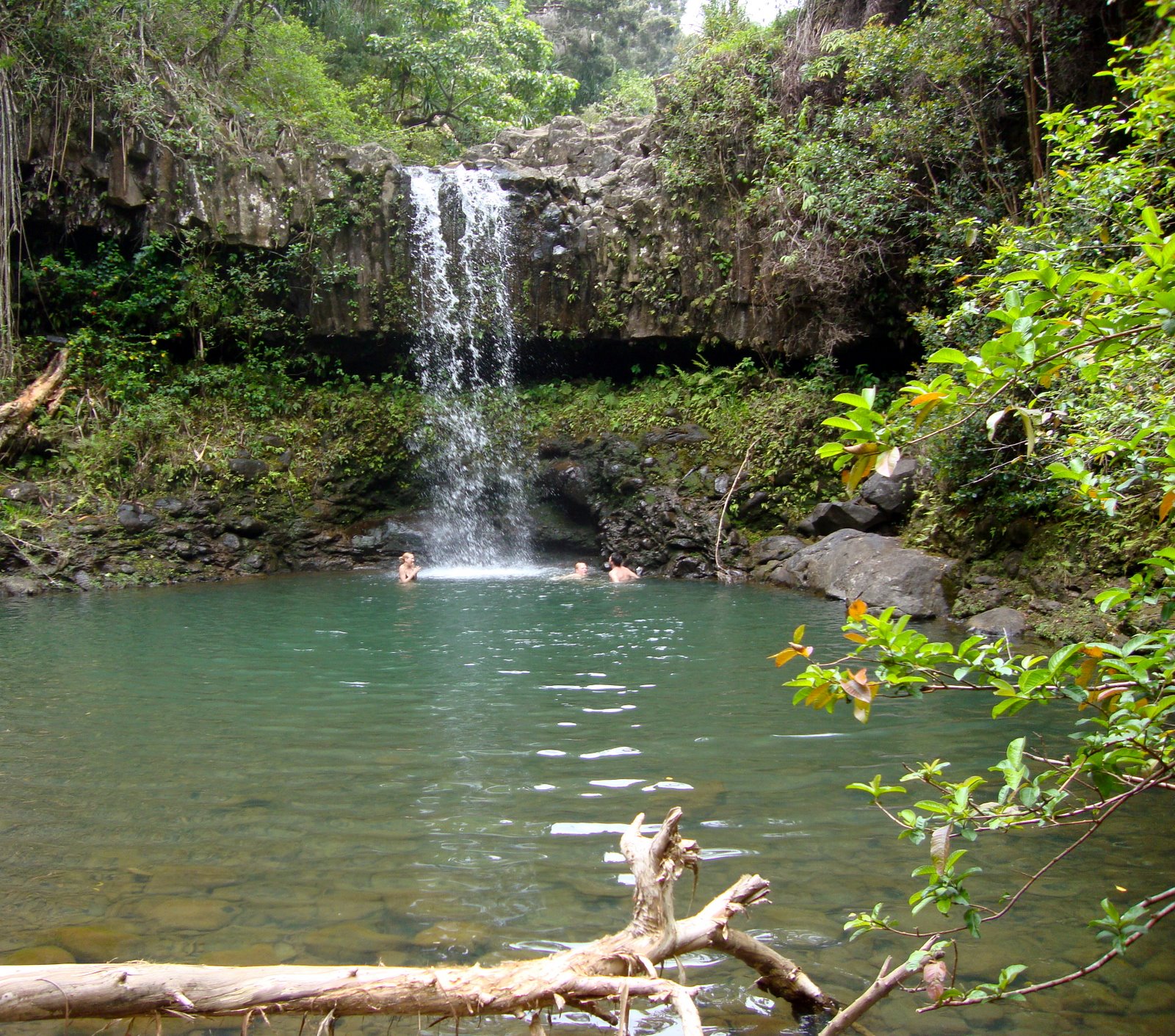 [DSC01234_2.JPG]