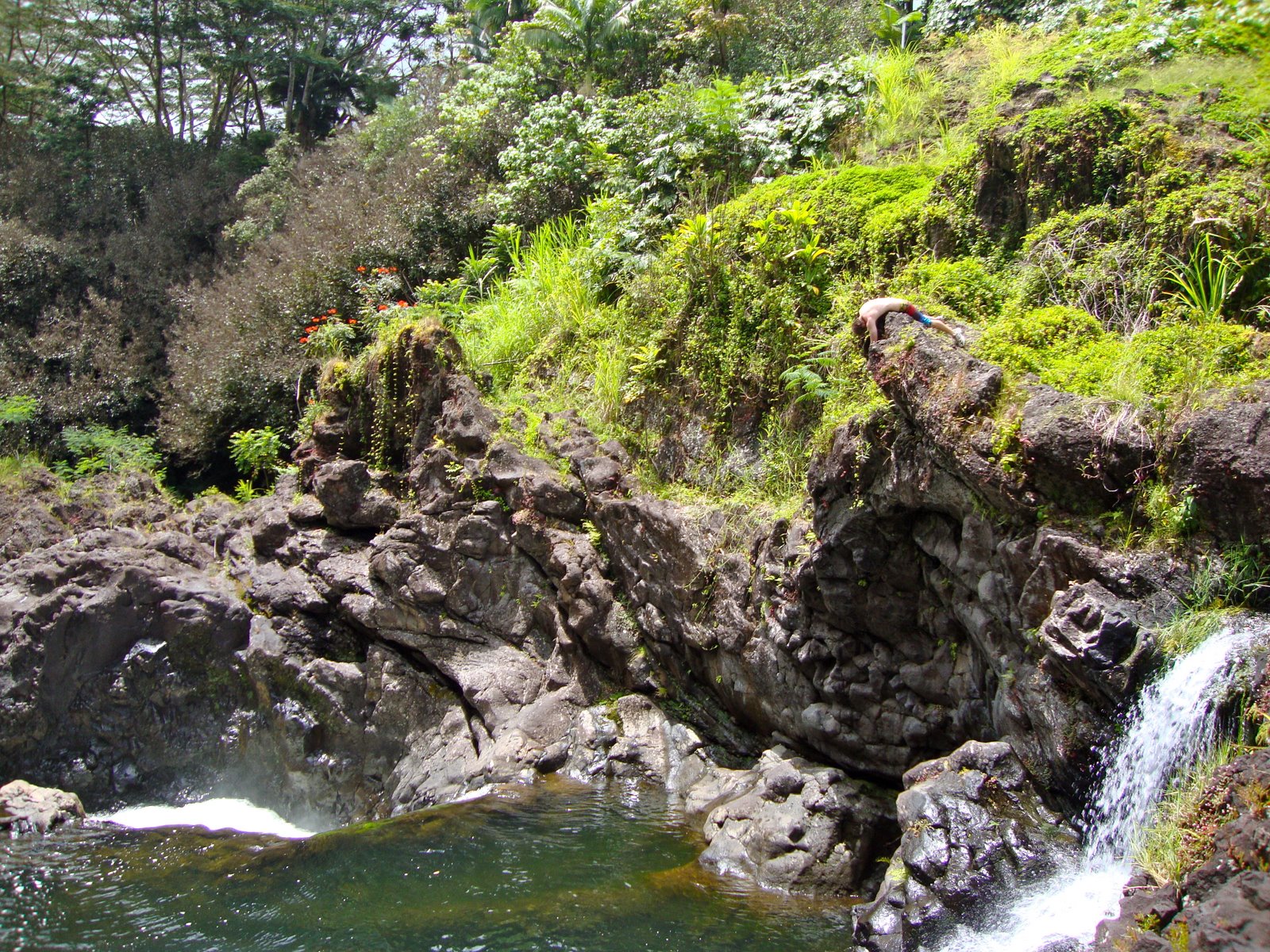 [DSC02215.JPG]