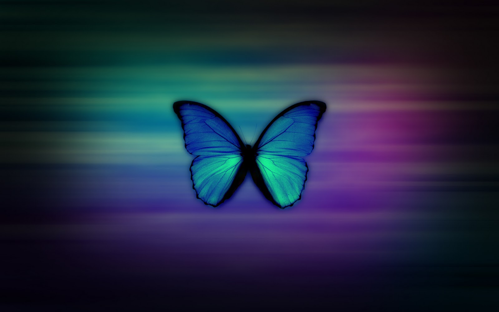 Fondos de pantalla de mariposa Imagui