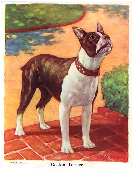 C. Dianne Zweig - Kitsch 'n Stuff: Decorating With Colorful Vintage Dog