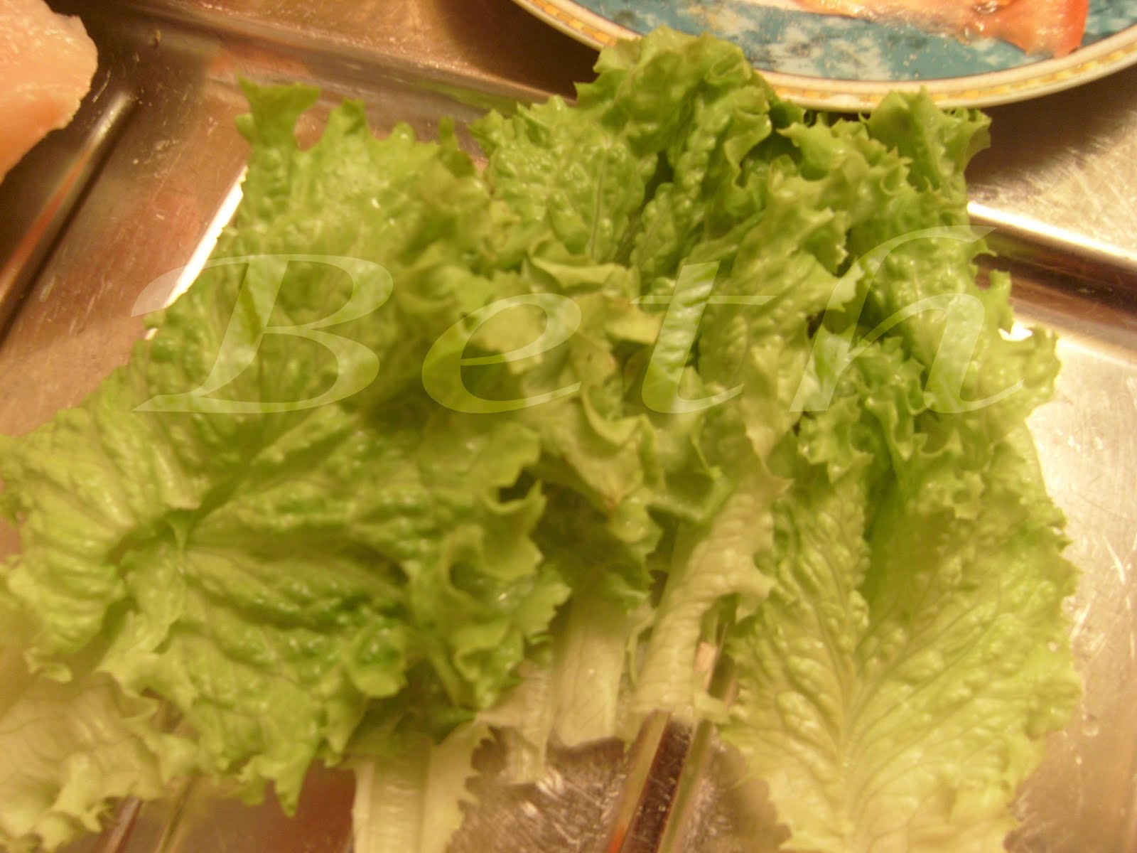 [Photo+040+copie.jpg]