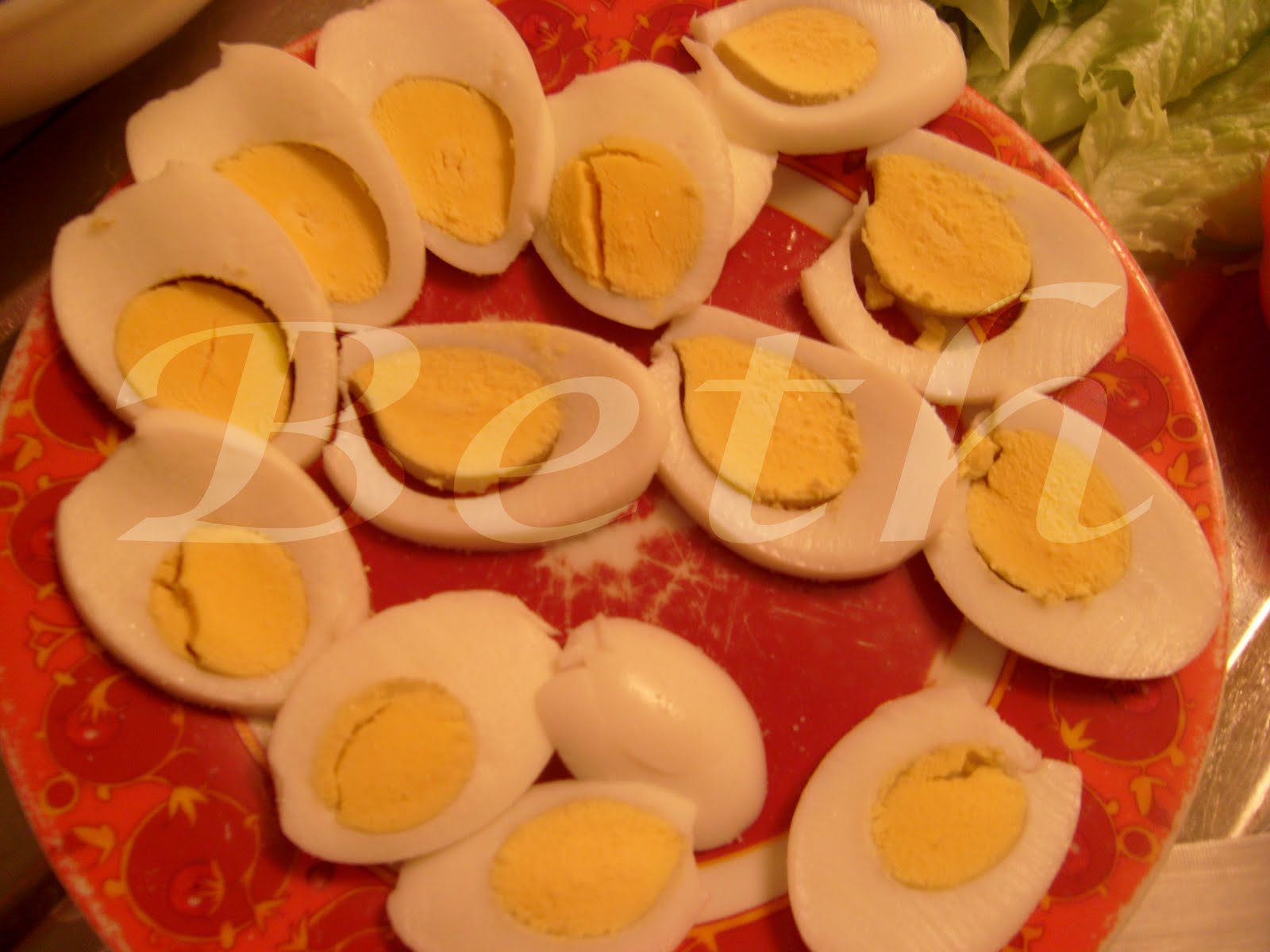 [Photo+042+copie.jpg]