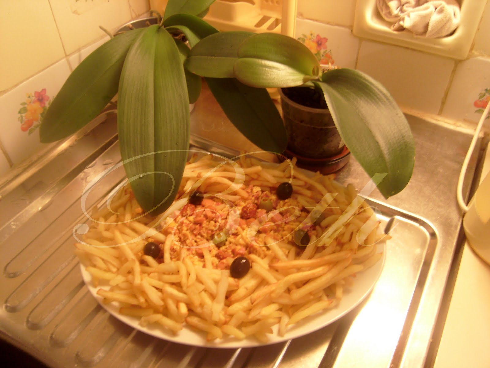 [Photo+018+copie.jpg]