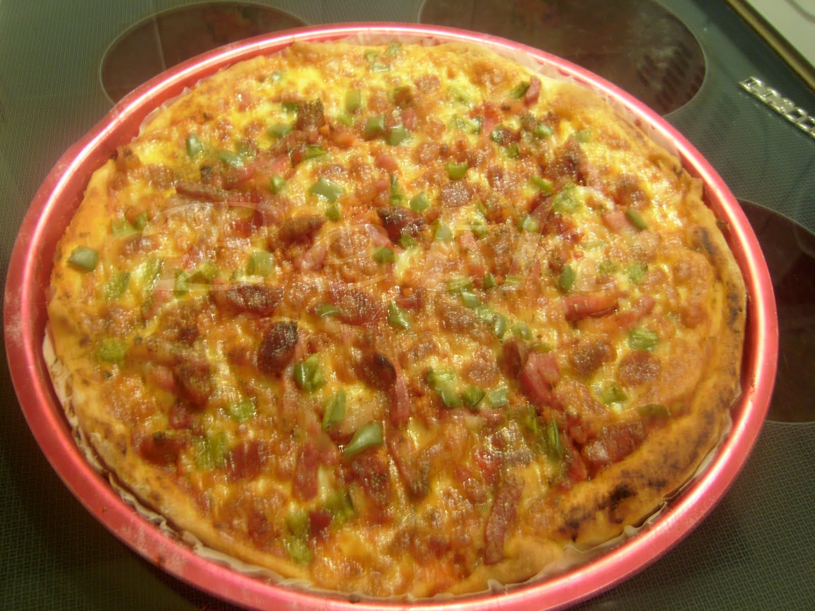 [Photo+022+copie.jpg]