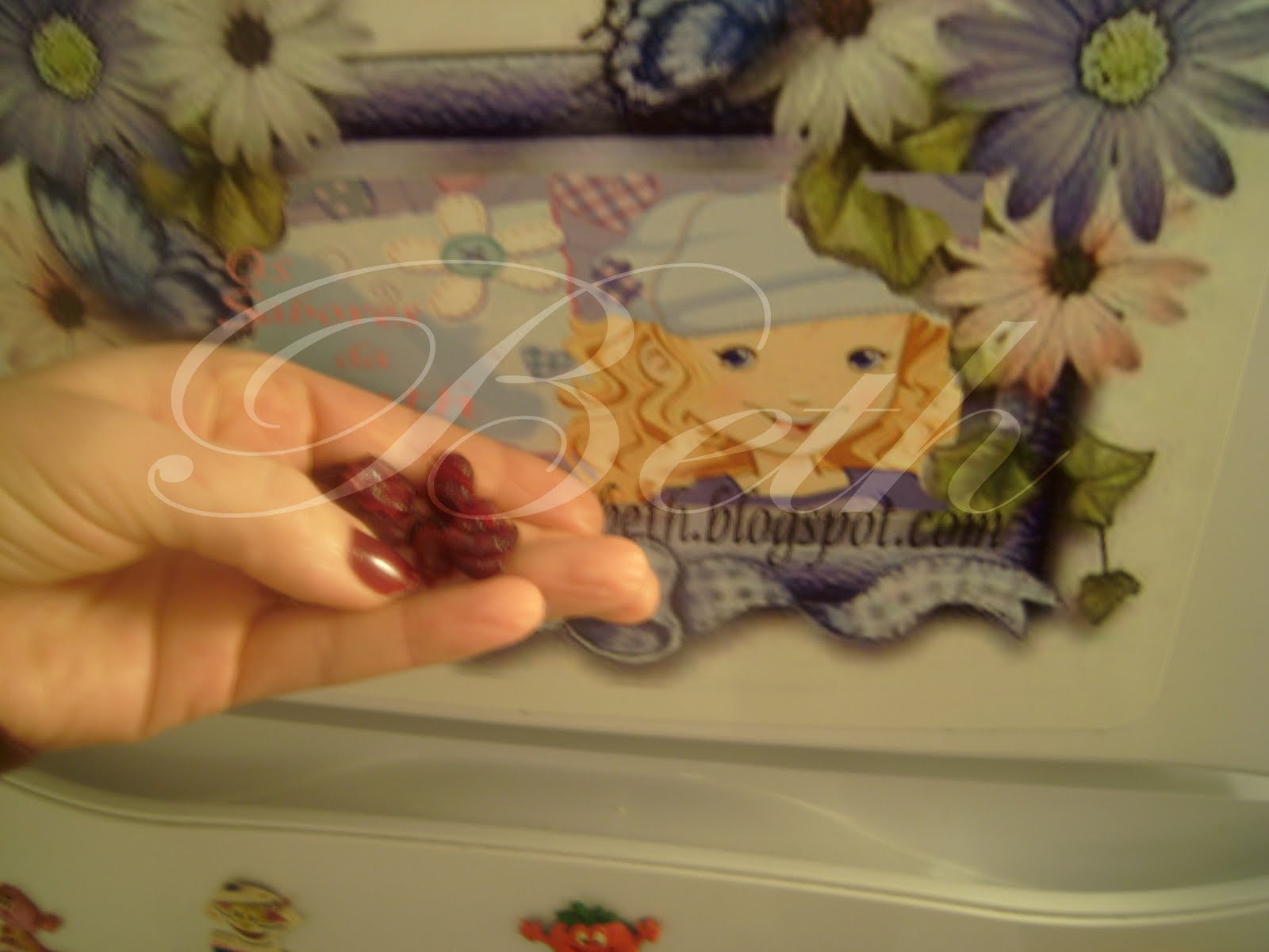 [Photo+030+copie.jpg]