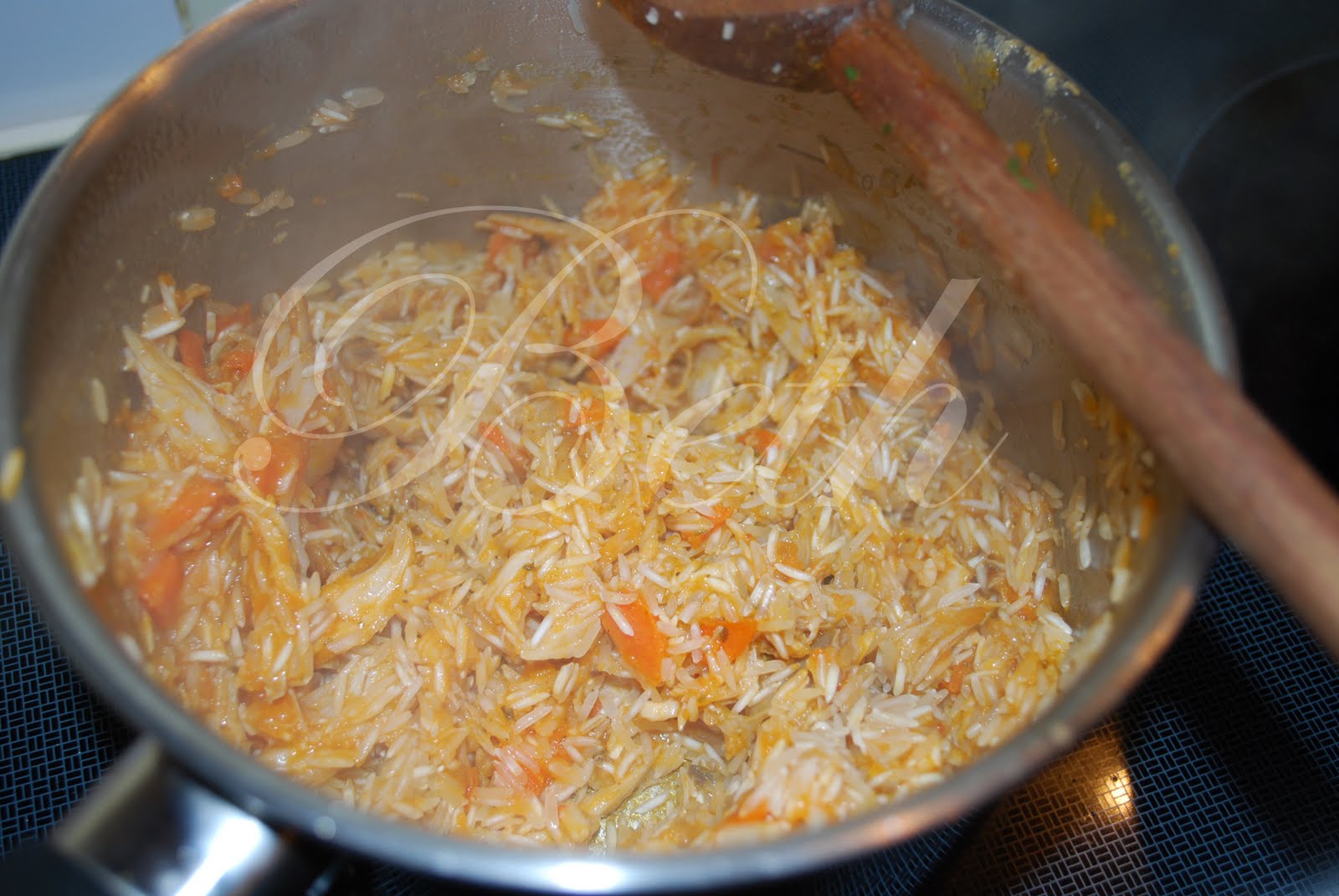 [Photo+011+copie.jpg]