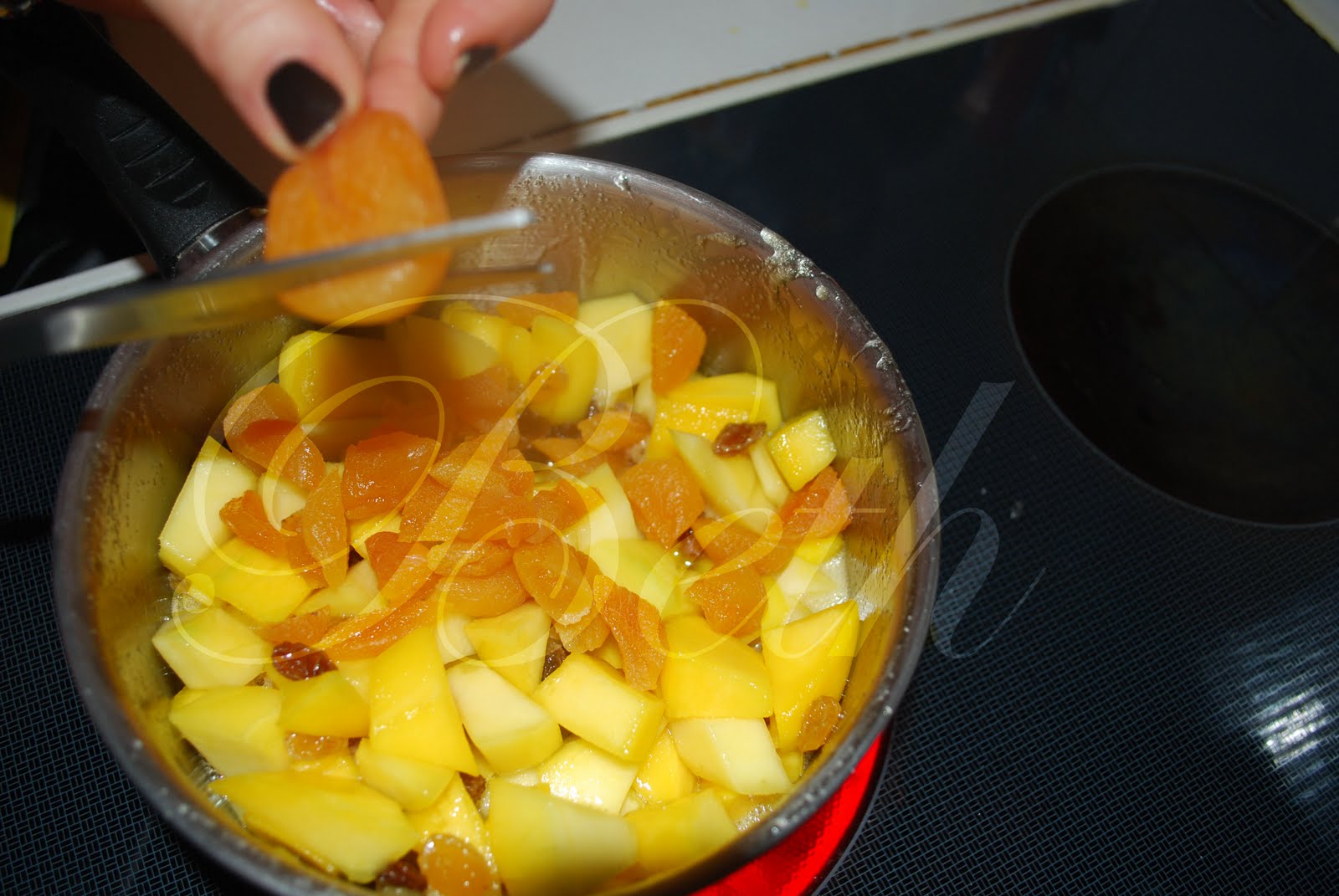 [Photo+045+copie.jpg]