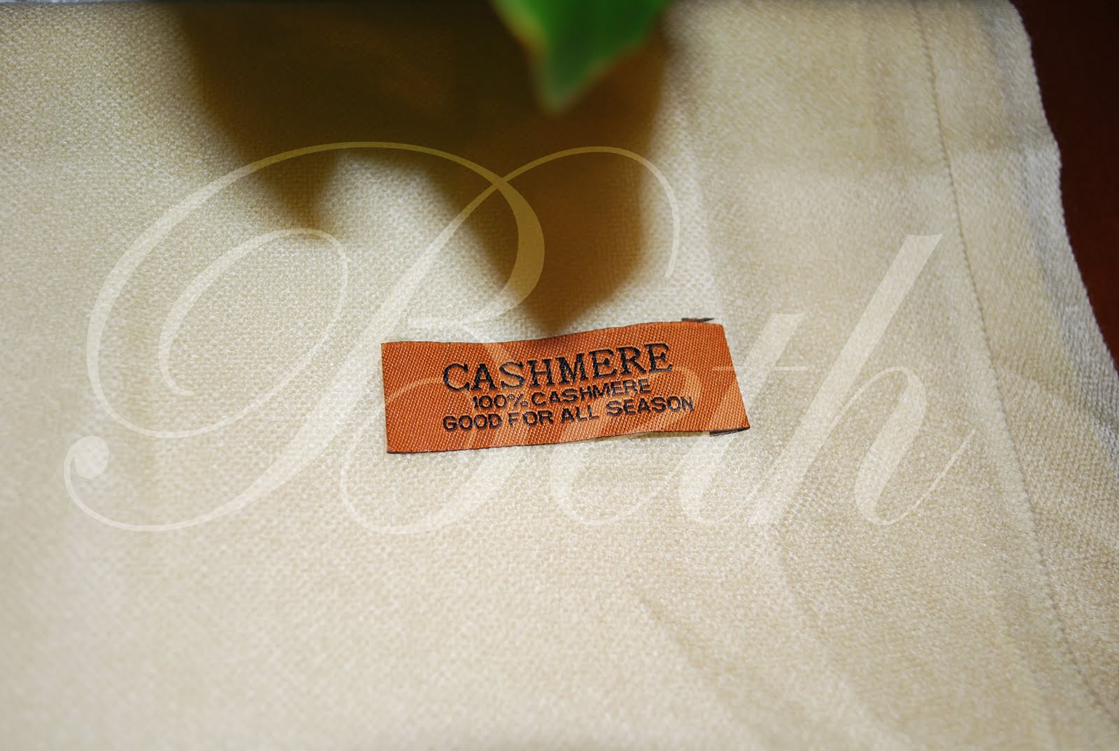 [Photo+103+copie.jpg]