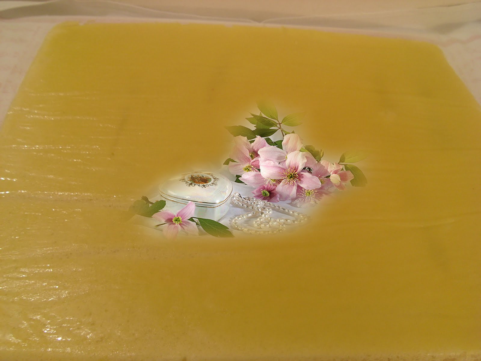 [Photo+055+copie.jpg]