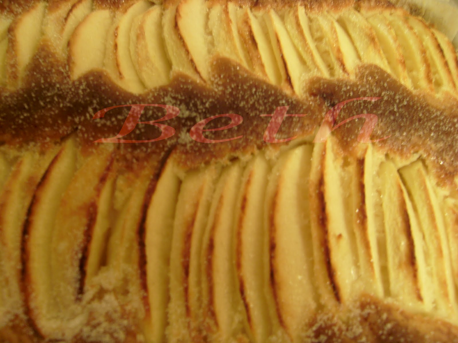 [Photo+010+copie.jpg]