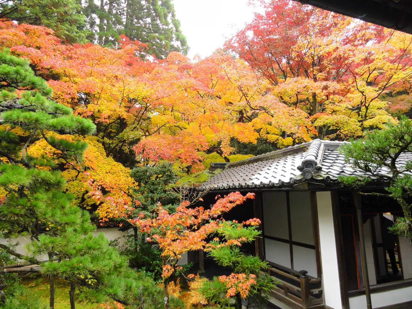 JAPAN_STATION: MUST TO VISIT: #1 Kyoto
