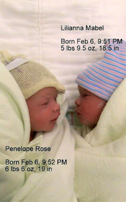 My Two New Nieces